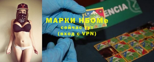 бошки Краснослободск