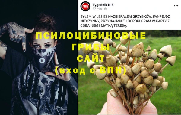 бошки Краснослободск